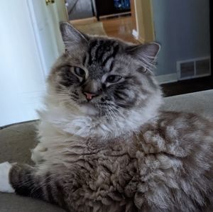 Reasonable offers welcome